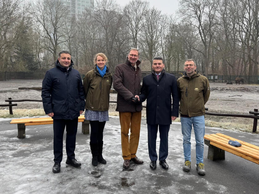 Almaniyadan Azərbaycana 18 zubr yola salınıb