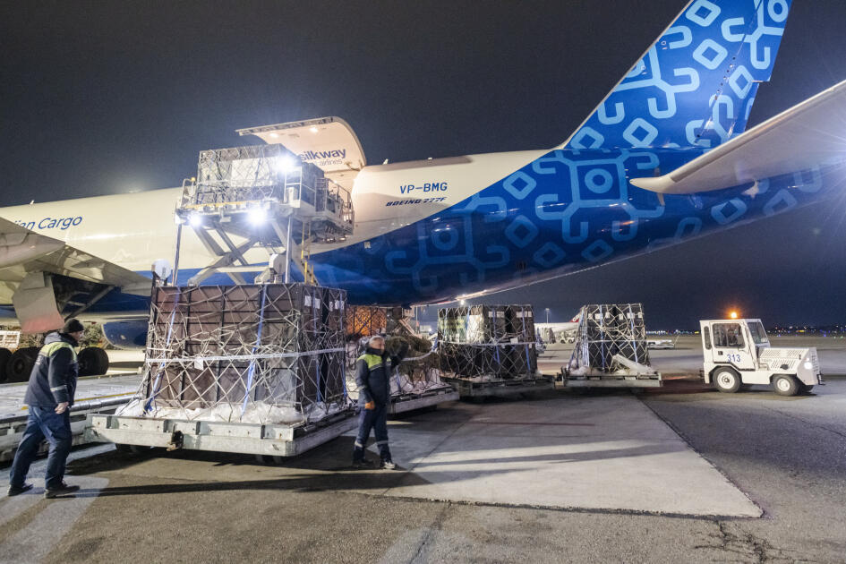 Almaniyadan Azərbaycana 18 zubr yola salınıb