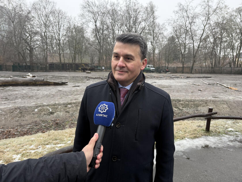 Almaniyadan Azərbaycana 18 zubr yola salınıb