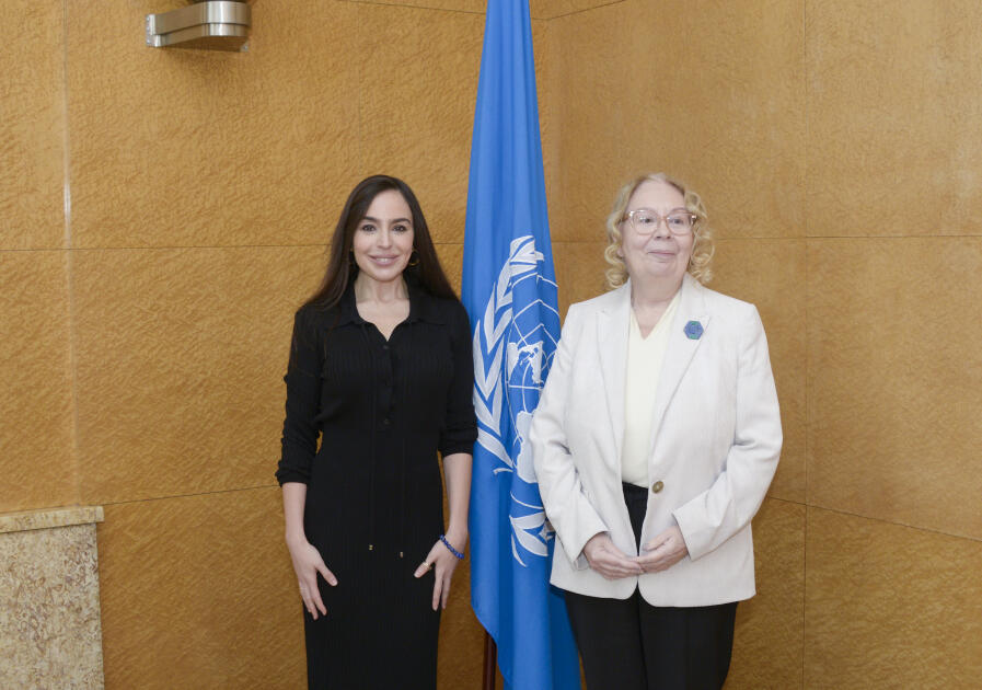 Вице-президент Фонда Гейдара Алиева Лейла Алиева встретилась с генеральным директором Женевского офиса ООН