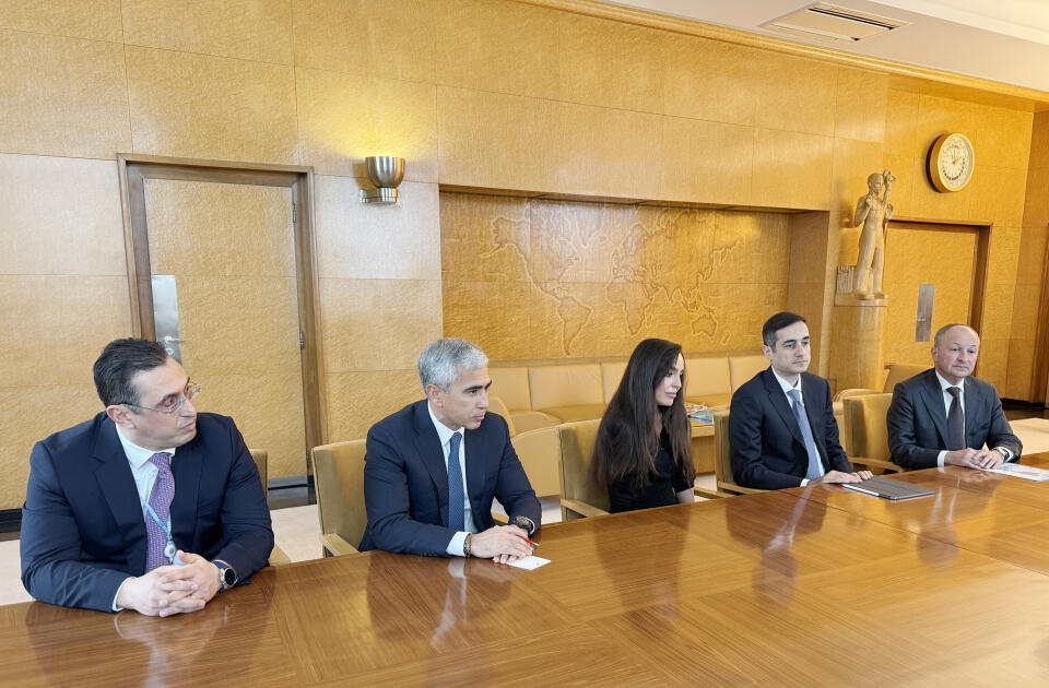 Вице-президент Фонда Гейдара Алиева Лейла Алиева встретилась с генеральным директором Женевского офиса ООН