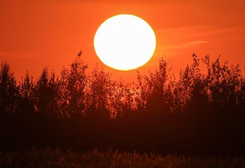 Ученые озвучили прогноз солнечной активности на ближайшие годы