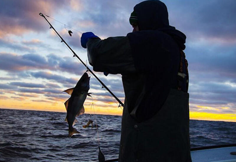 Житель Нефтчалинского района утонул в море