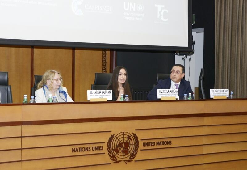 С участием вице-президента Фонда Гейдара Алиева Лейлы Алиевой в Женеве обсуждены экологические проблемы Каспийского моря