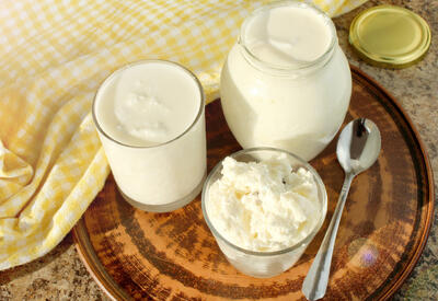 Бактерия из кефира обратила вспять старение иммунной системы