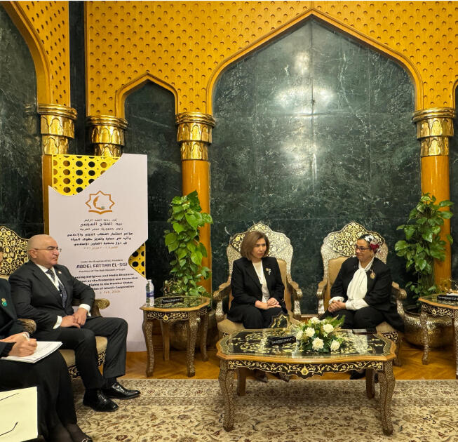 Azərbaycan və Misir qadın hüquqları sahəsində əməkdaşlığın genişləndirilməsini müzakirə edib