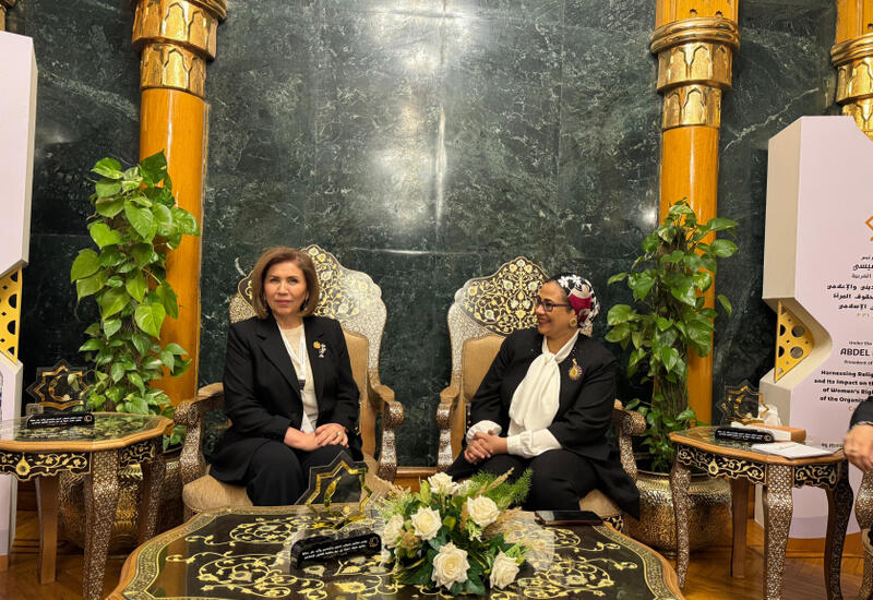 Azərbaycan və Misir qadın hüquqları sahəsində əməkdaşlığın genişləndirilməsini müzakirə edib