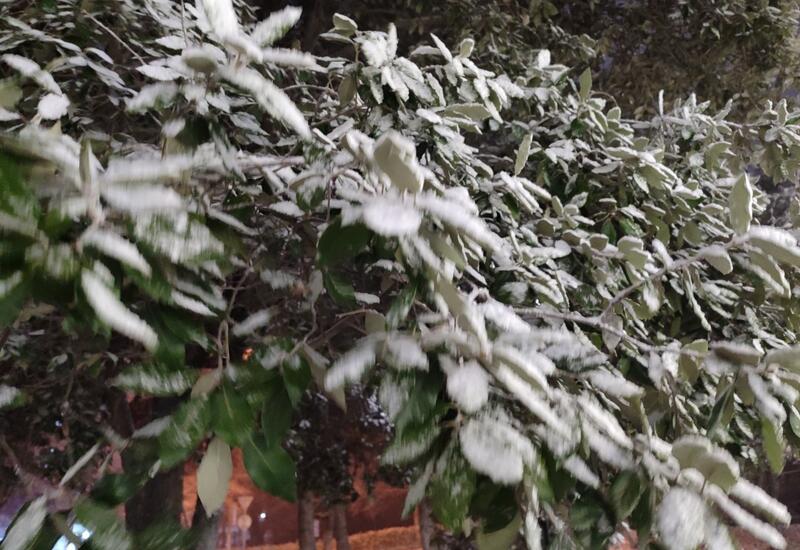 В Азербайджане температура понизится на 10 градусов