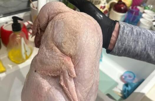 Yol kənarında "hinduşka" adı ilə şişirdilmiş toyuq satılır