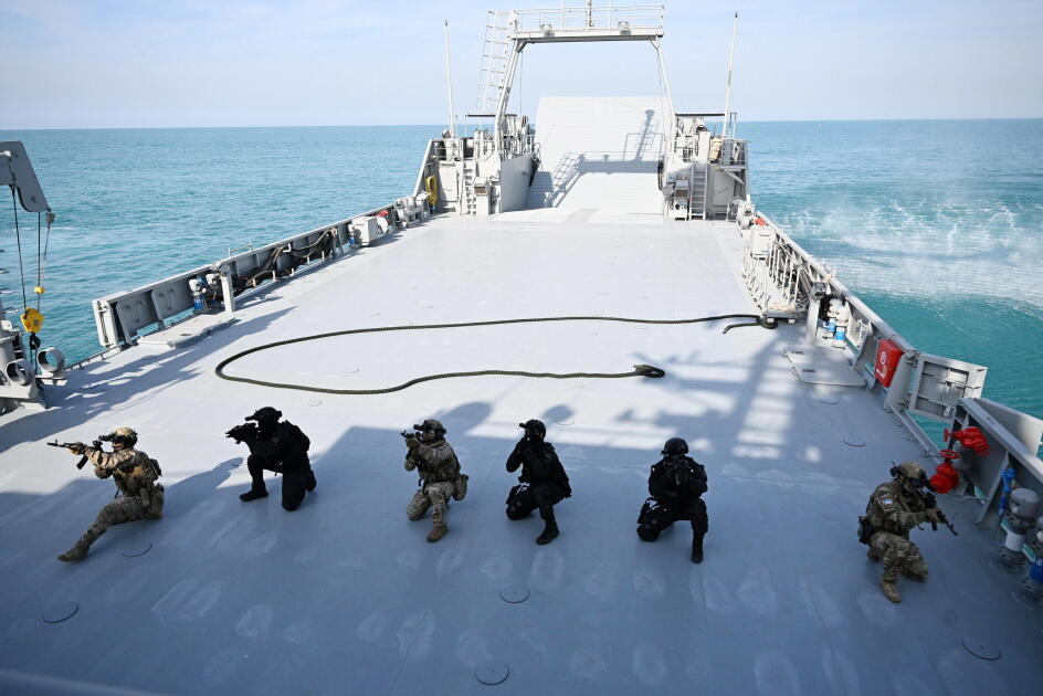 Президент Ильхам Алиев и Президент ОАЭ наблюдали за совместными тактическими учениями "Щит мира - 2026" в Абу-Даби