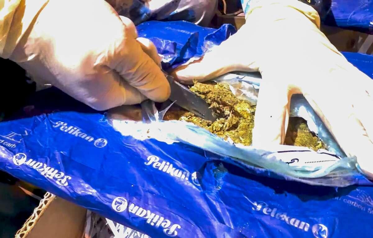 Пресечена попытка перевозки наркотиков из Ирана в Россию через Азербайджан