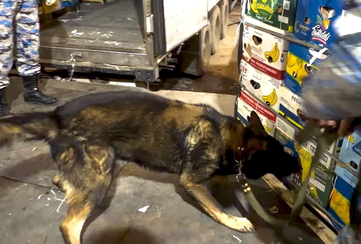 Пресечена попытка перевозки наркотиков из Ирана в Россию через Азербайджан