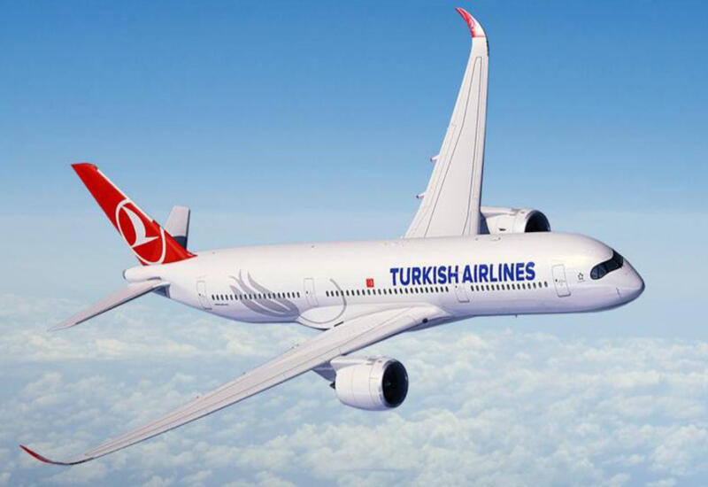 Самолет «Турецких авиалиний» экстренно сел в Индии