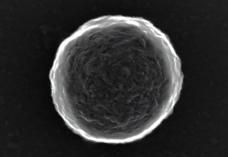 Впервые созданы роботы для борьбы с раком