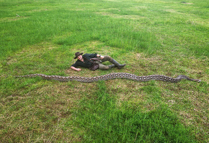 В Индонезии нашли самую длинную змею в мире