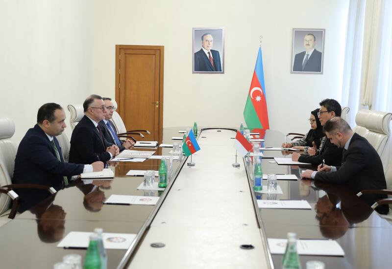 Азербайджан и Индонезия обсудили сотрудничество в сфере здравоохранения