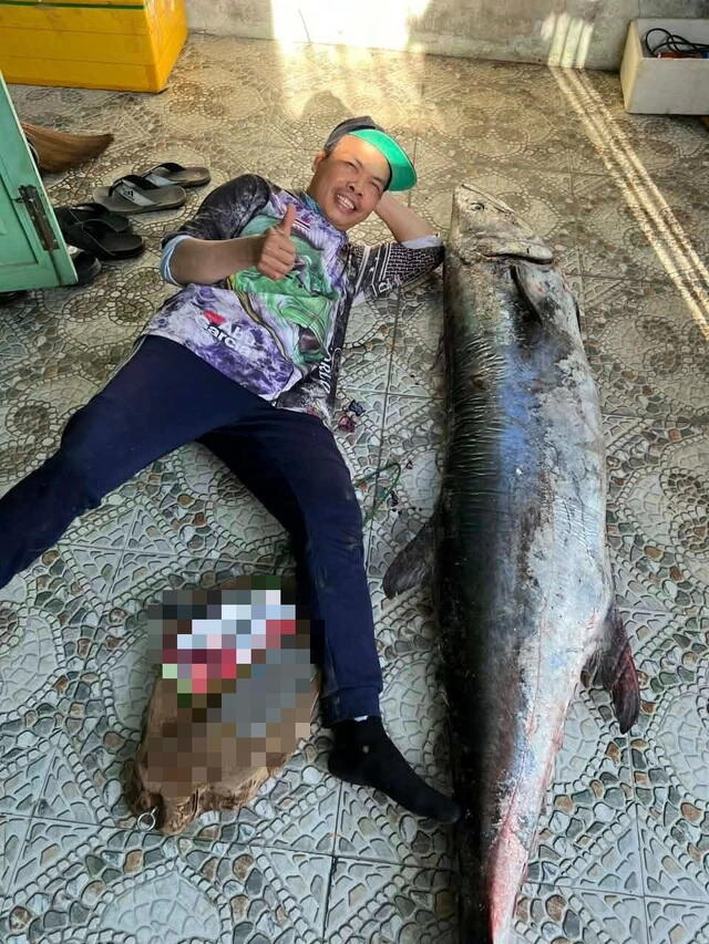 Во Вьетнаме поймали рыбу весом более 60 кг