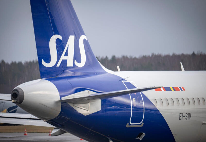 Рейс SAS развернулся из-за обнаруженной мыши на борту