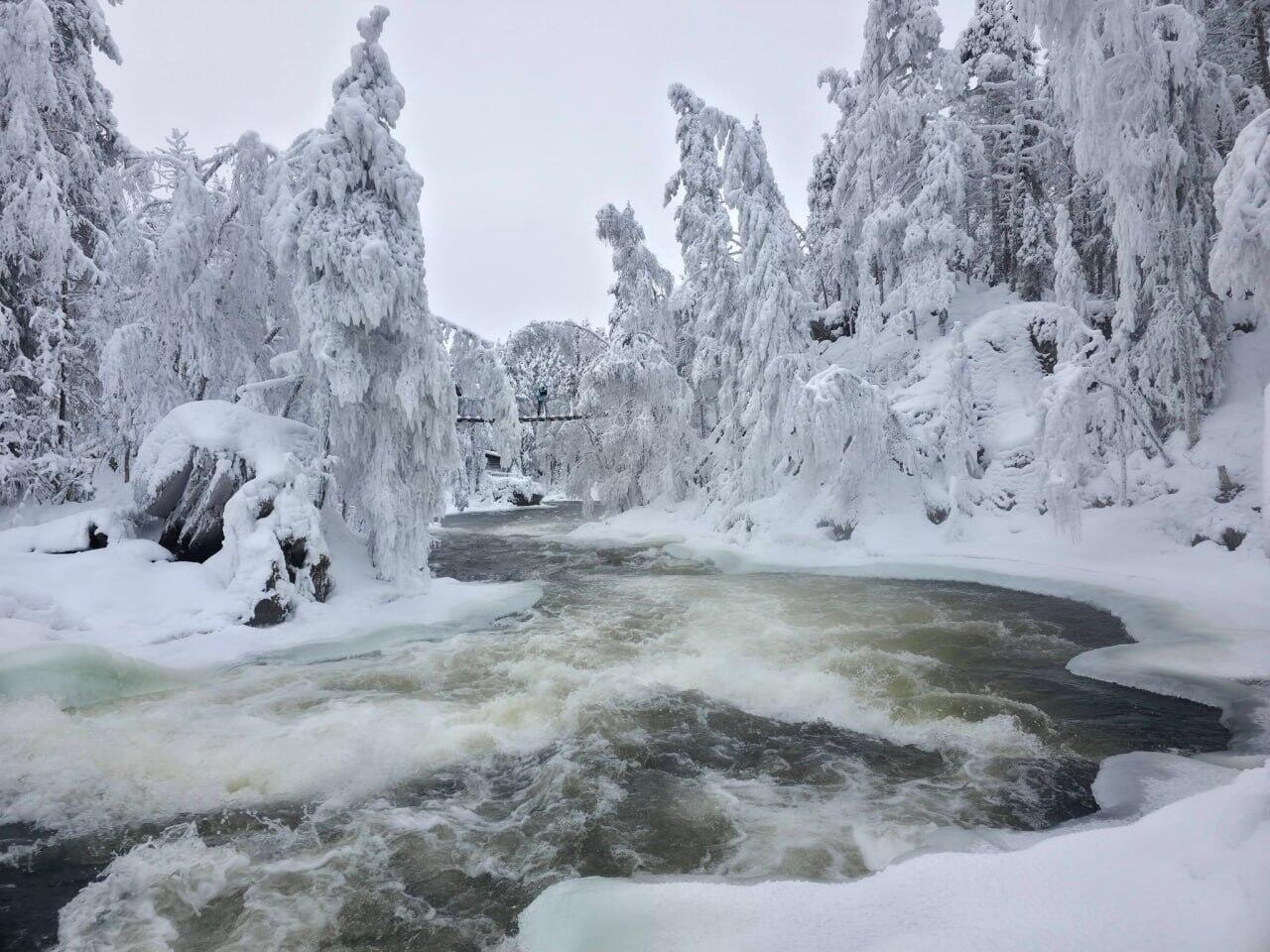 Лапландия превратилась в живую зимнюю сказку