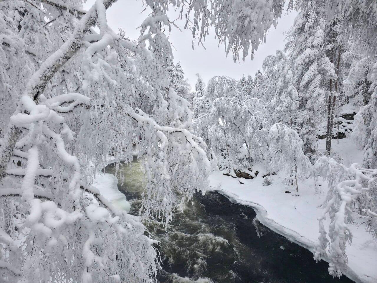 Лапландия превратилась в живую зимнюю сказку