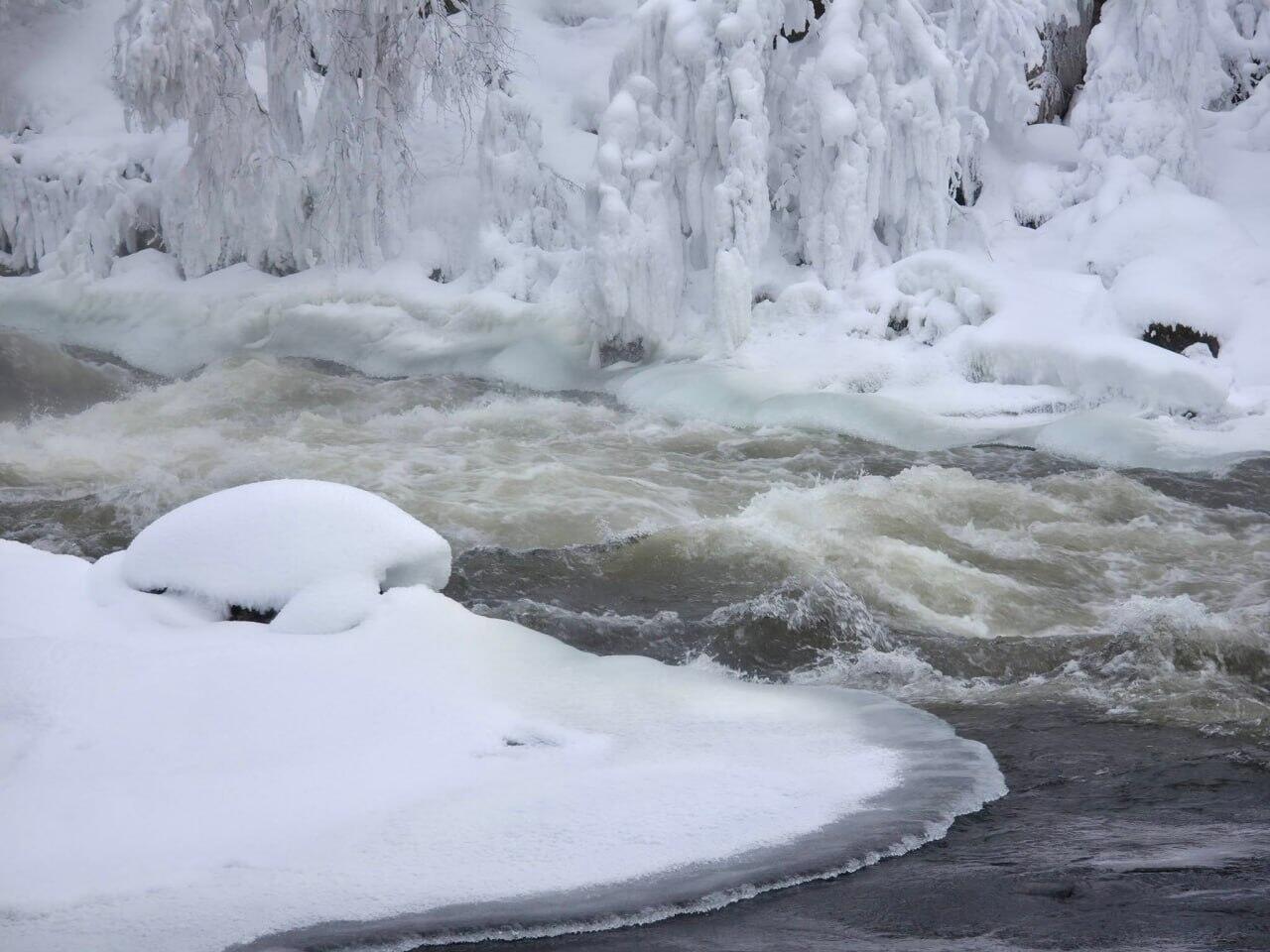 Лапландия превратилась в живую зимнюю сказку