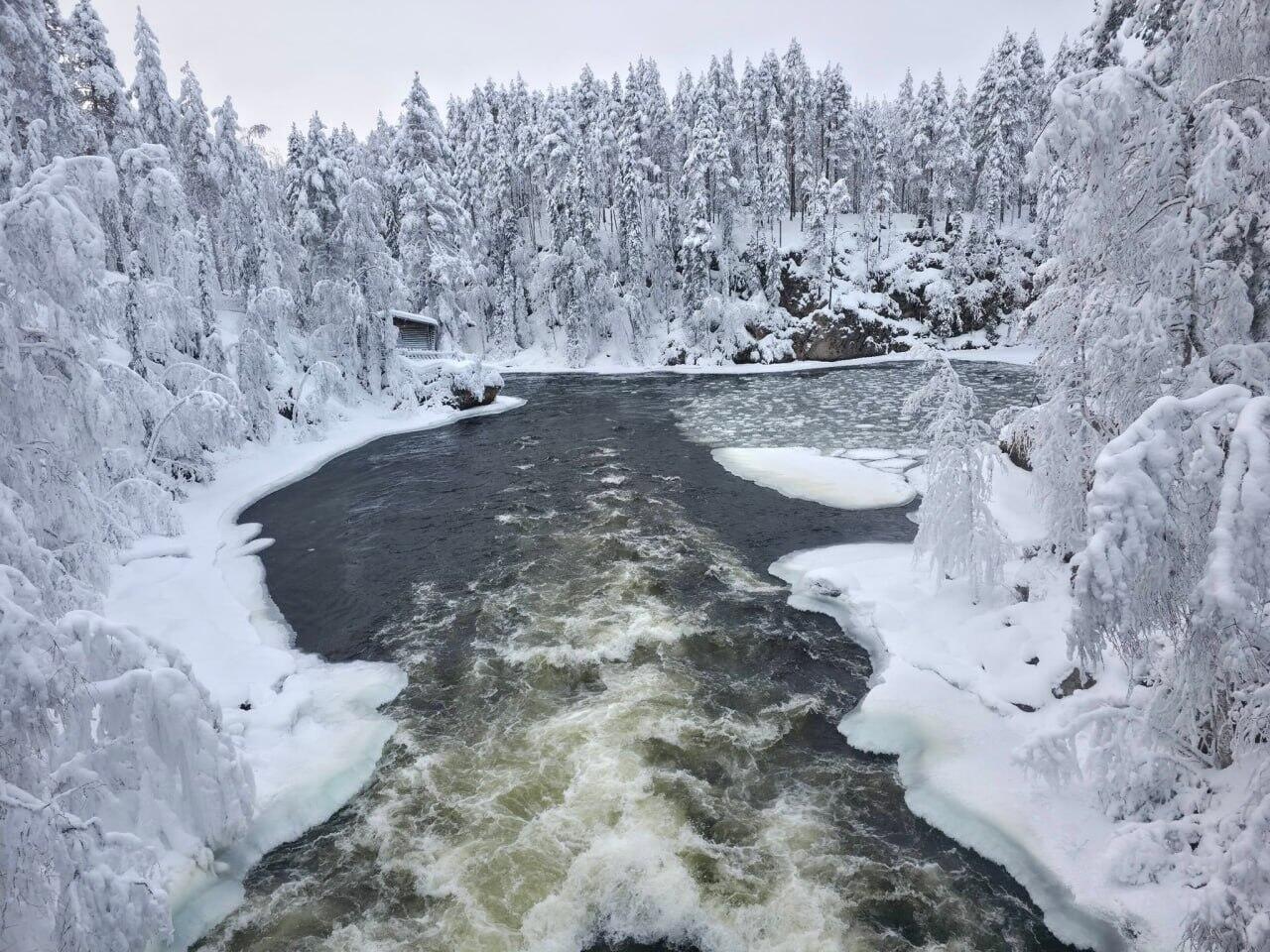 Лапландия превратилась в живую зимнюю сказку