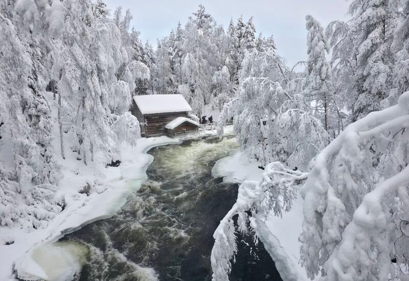 Лапландия превратилась в живую зимнюю сказку