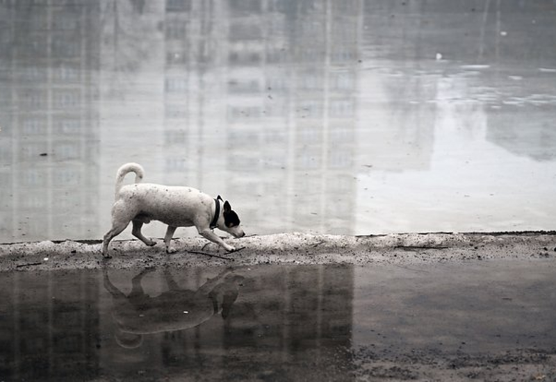 Россия погрузится во мрак в пятницу, 13-го