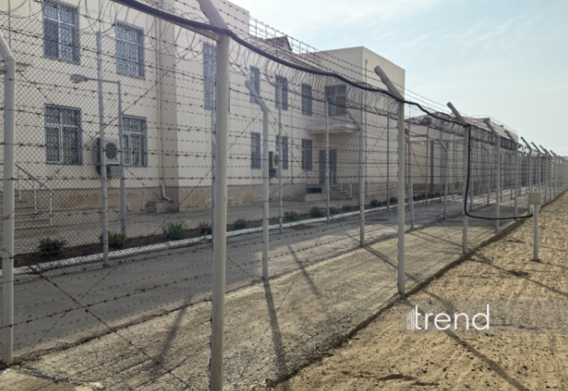 İndiyədək neçə nəfərə amnistiya tətbiq edilib?