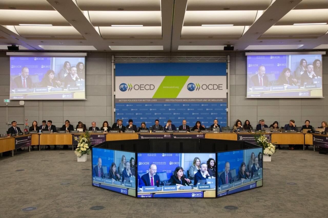 Азербайджан обсудил развитие Среднего коридора на сессии ОЭСР