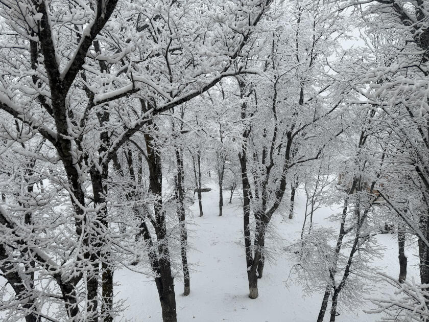 Шуша укутана белым покрывалом