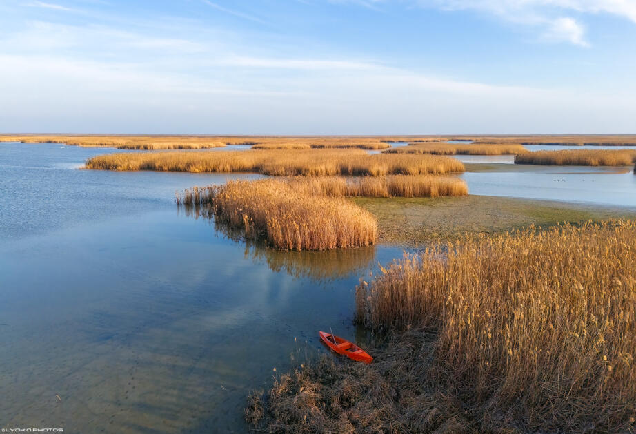 Ширванский национальный парк - гармония дикой природы