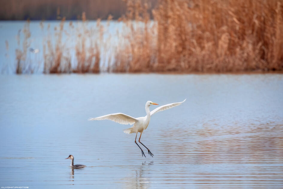 Ширванский национальный парк - гармония дикой природы