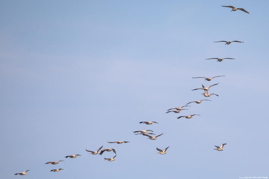 Ширванский национальный парк - гармония дикой природы