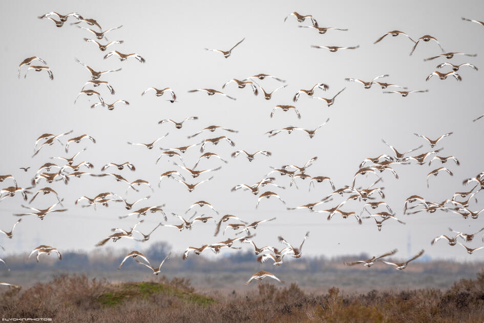 Ширванский национальный парк - гармония дикой природы