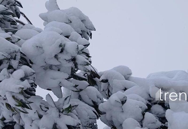 Şahdağa qar yağıb