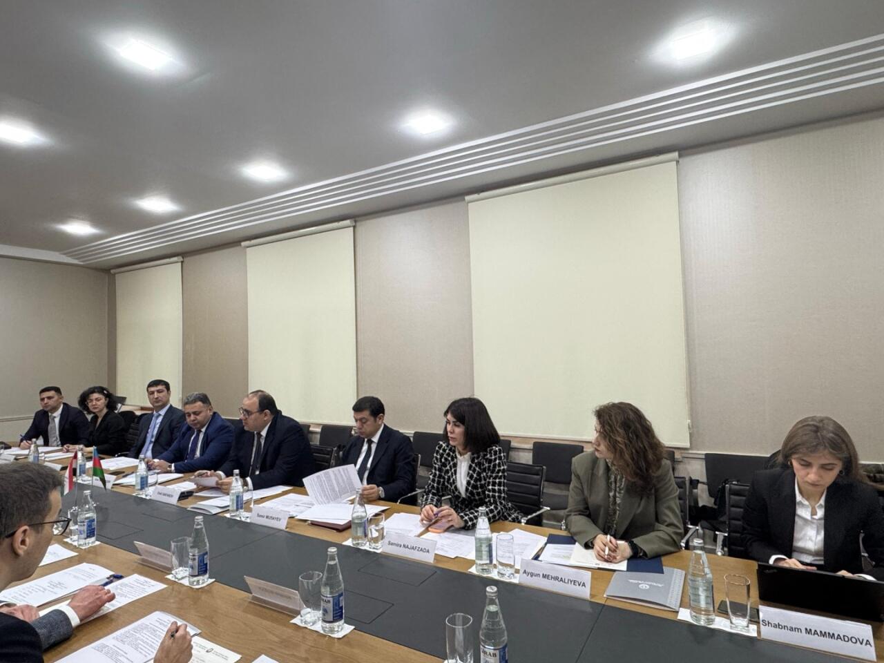 Азербайджан и Венгрия расширяют консульское партнерство