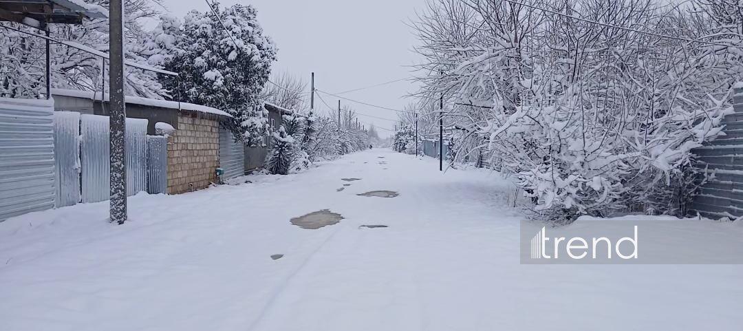 Ağdamda qarın hündürlüyü 15 santimetri keçdi
