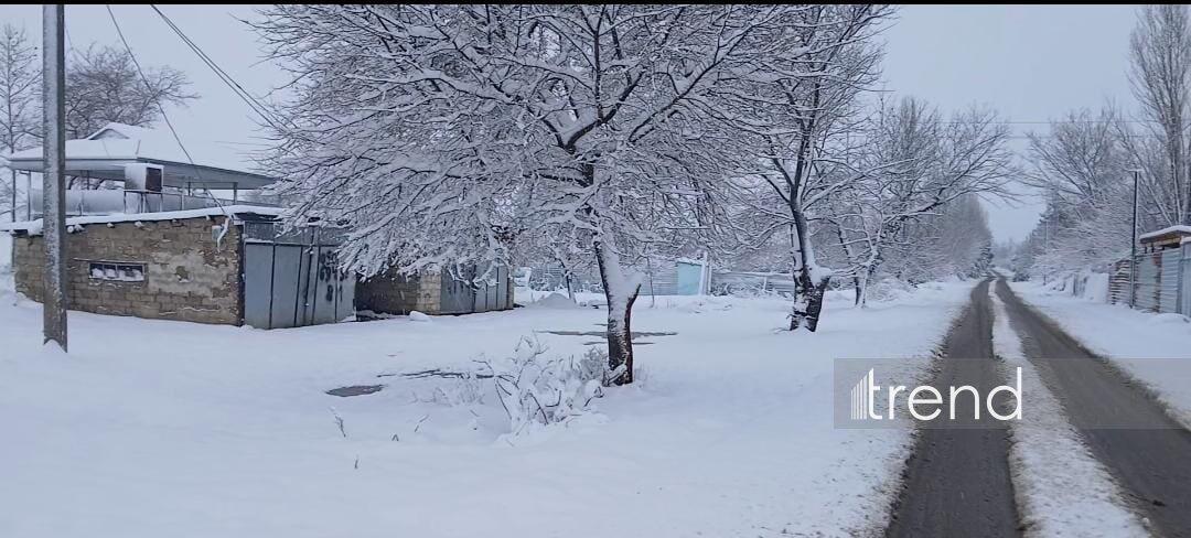 Ağdamda qarın hündürlüyü 15 santimetri keçdi