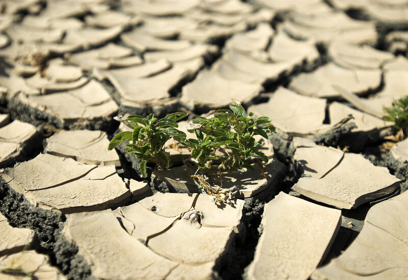 Ученые предсказали наступление адского климата на Земле