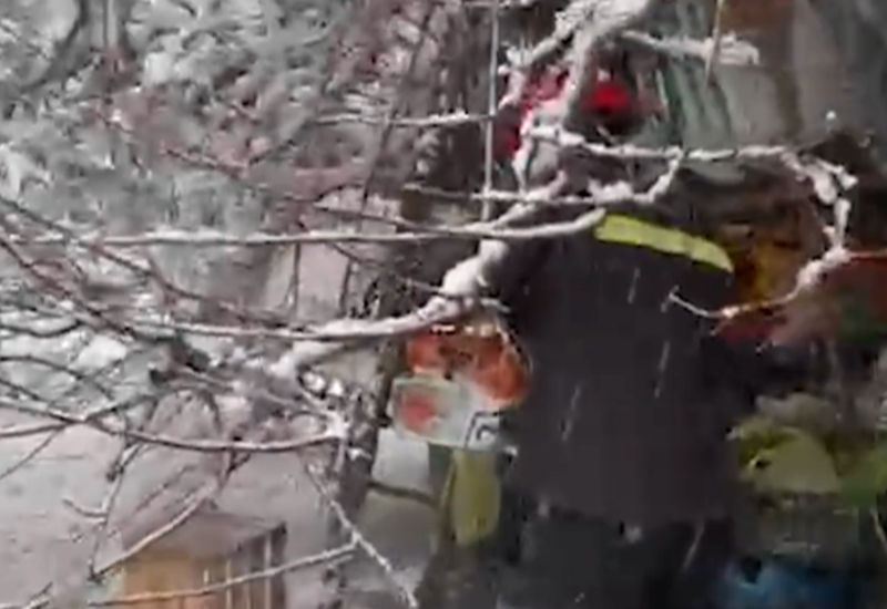 60 yaşlı qadının üzərinə ağac aşdı