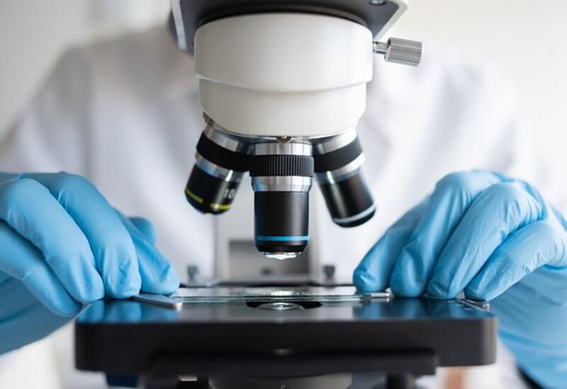 Открыт эффективный способ уничтожения раковых клеток