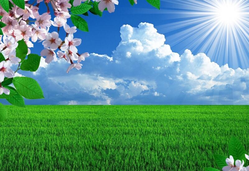 В феврале будет 20 градусов тепла