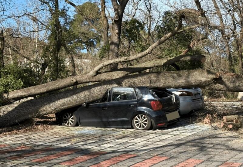 Сотни тысяч домохозяйств во Франции остались без света