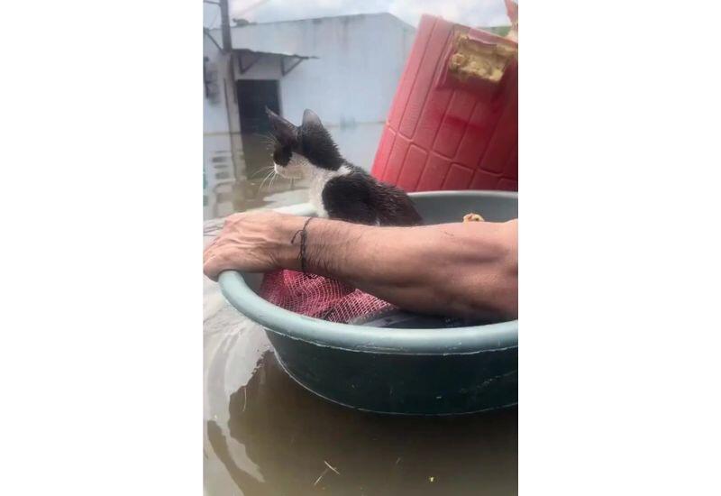 Колумбия страдает от рекордных осадков