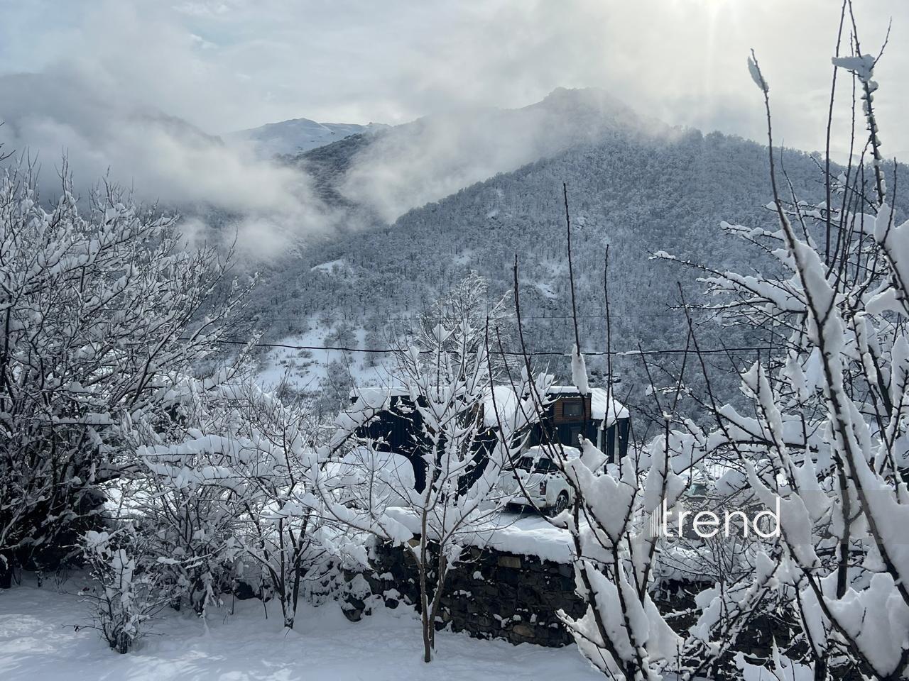 Высота снежного покрова в Кяльбаджаре достигает 40 см