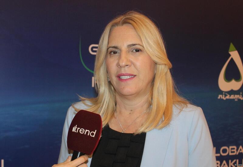 Прогресс в мирных переговорах между Азербайджаном и Арменией подчеркивает стабильность на Южном Кавказе