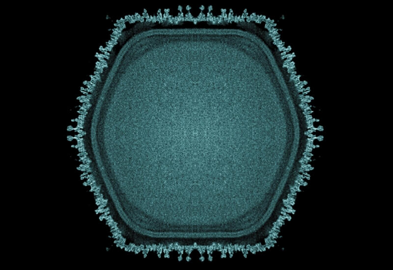 Обнаружен новый гигантский вирус, скрывающий тайну происхождения жизни