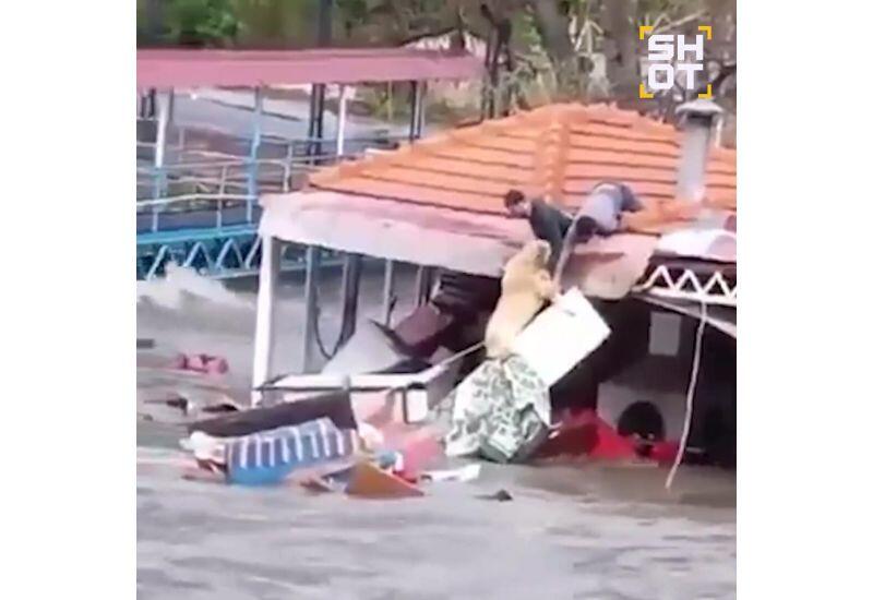 Драматичное видео спасения собаки в Турции