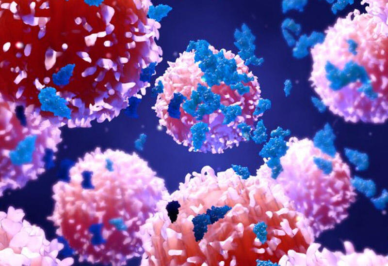 4 manatlıq məhsul xərçəngin dərmanıdır